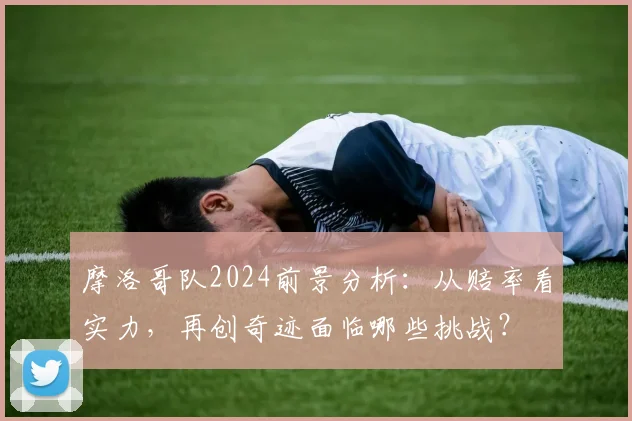 摩洛哥队2024前景分析：从赔率看实力，再创奇迹面临哪些挑战？